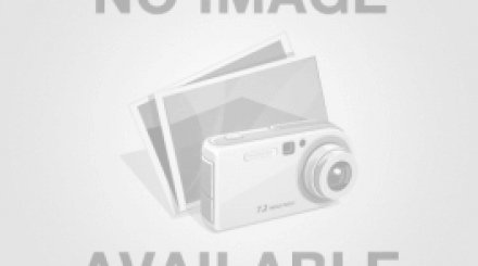 Bài viết test AI Content