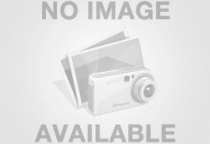 Bài viết test AI Content