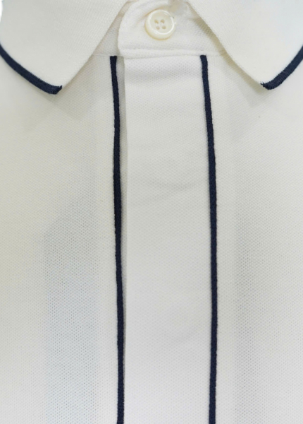Áo polo  - 100% cotton